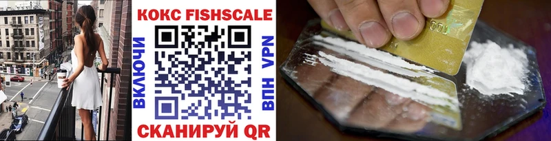 цена   Вичуга  COCAIN Fish Scale 