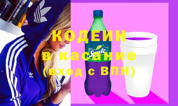 индика Михайлов