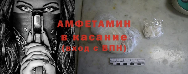индика Михайлов