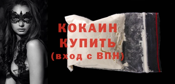 индика Михайлов