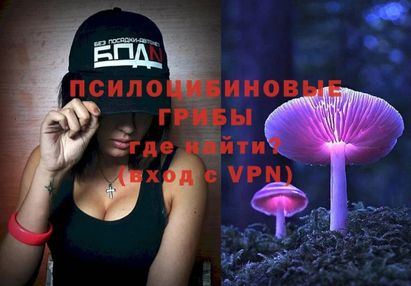 индика Михайлов