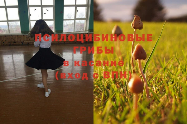 дживик Бородино