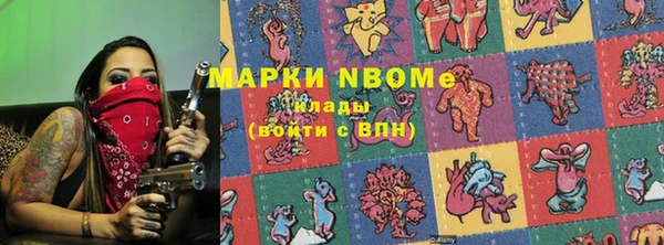 индика Михайлов