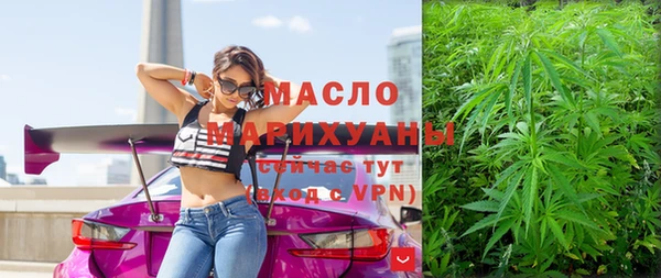 индика Михайлов