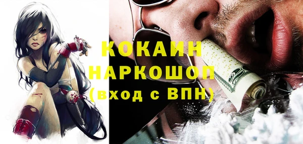индика Михайлов