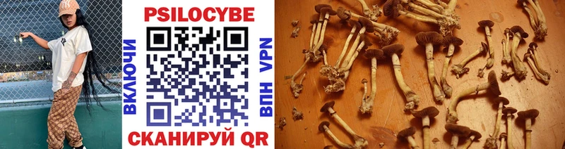 Галлюциногенные грибы мицелий  дарнет шоп  Вичуга 