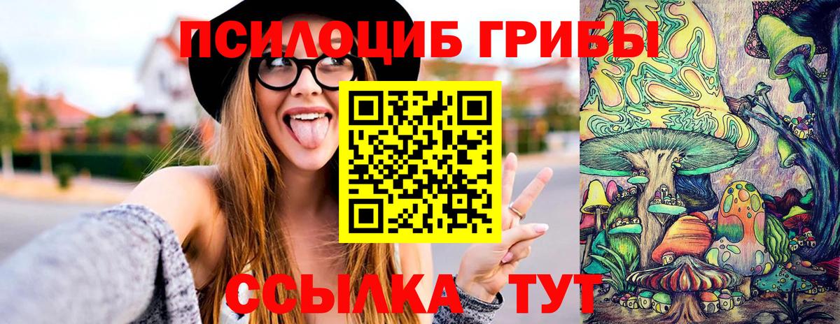 купить  цена  Вичуга  Галлюциногенные грибы GOLDEN TEACHER 