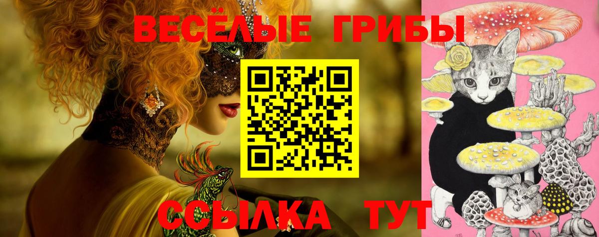 Галлюциногенные грибы Psilocybine cubensis Вичуга