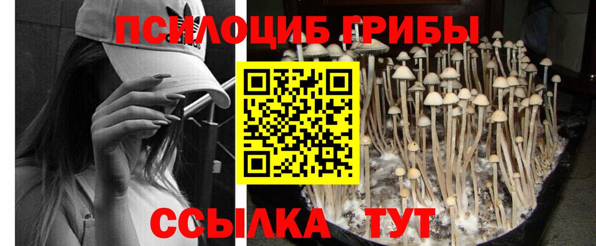 Вичуга  Галлюциногенные грибы MAGIC MUSHROOMS  где купить наркоту  Вход с VPN 