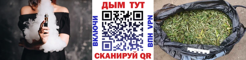 купить наркотик  Вичуга  omg рабочий сайт  Каннабис семена 